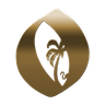 Oasis RelicVerse